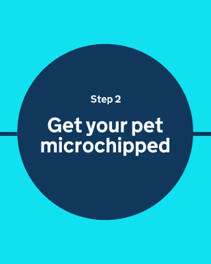 Teaser image saying "Step 2: Get your pet microchipped" in a dark blue circle on an accent teal background